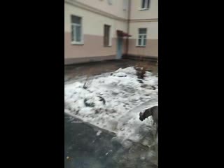 Vid 20210101 125107 mp4