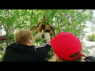 Кормушка готова