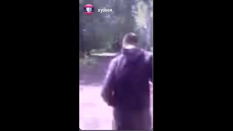 Ван гог спиздил раковину и чинит горилу