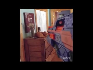 [psych ward] i shot my wife everyday for a week with nerf guns