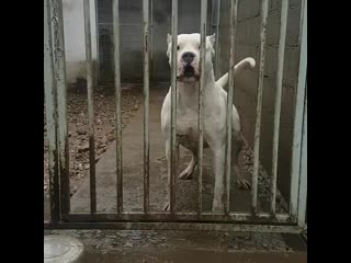 Ira initium insaniae est #282