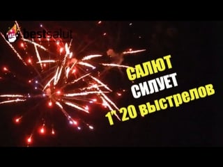 Fp b204 силуэт 1,0" 20 выстрелов