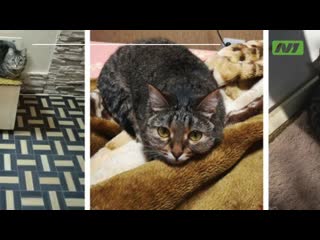 Пропал член семьи