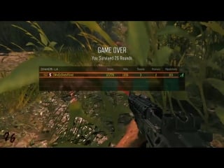 This is why monkey's are the best thing treyarch has ever put into zombies black ops 3 zombies