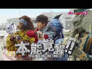 [dragonfox] doubutsu sentai jyuuohger promo #2