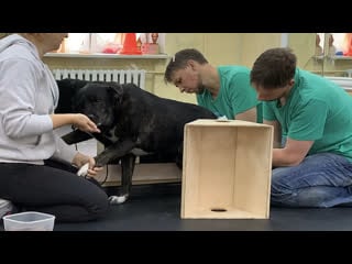 Я и мое отражение))