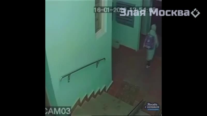 В подмосковье ступино маньяк, молодые чуть не секс девочку, преследуя ее