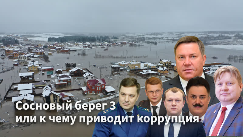 Сосновый берег 3 или к чему приводит коррупция