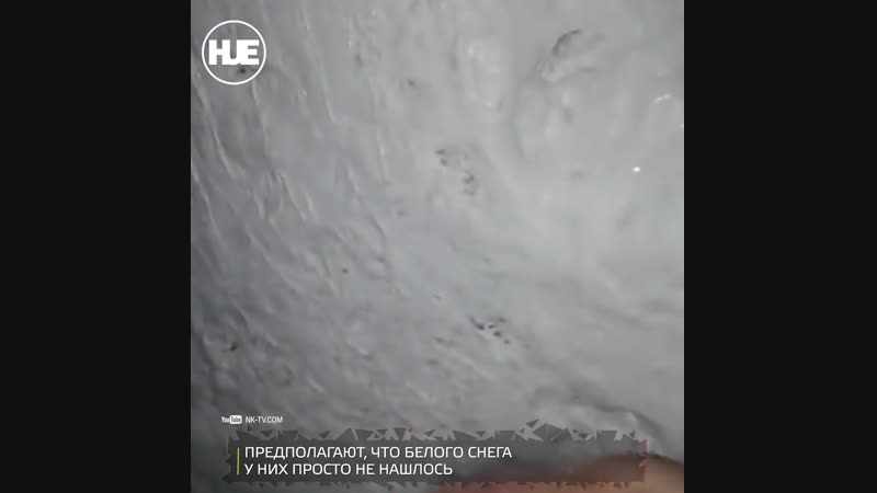 Кузбасские чиновники покрасили снег