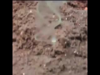 Ocean vibes 20200304 111253 0