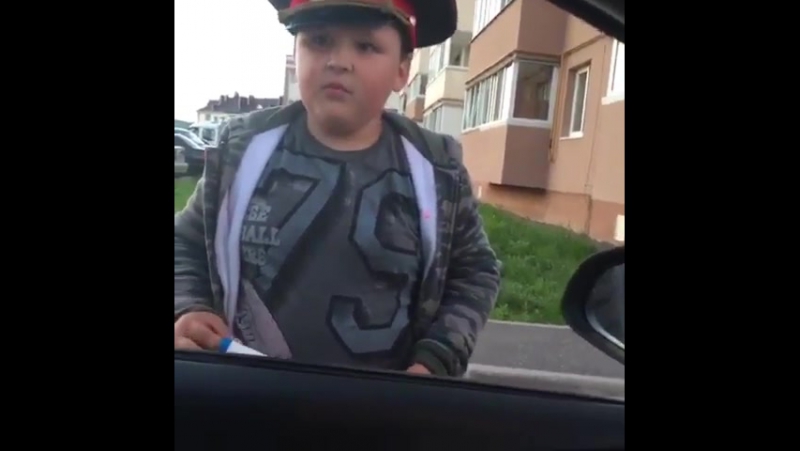 Личинка гаишника