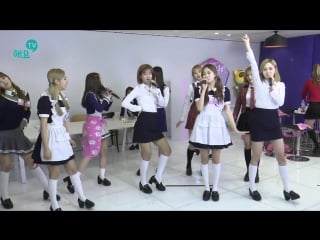 [cut] 170209 mbc heyo! tv "private life of wjsn" sistar "push push" cover @ cоsmic girls