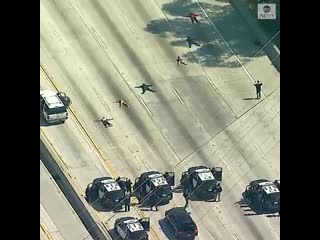 Felony stop | lapd & lasd