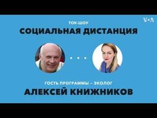 Сегодня в программе «социальная дистанция» обсуждаем экологическую катастрофу на камчатке почему там массово гибнут молодые? о