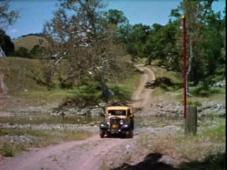 Сексуалды жопа