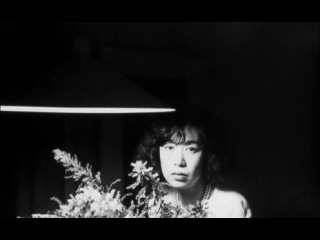 Contacts vol 2 the renewal of contemporary photography 5 nobuyoshi araki