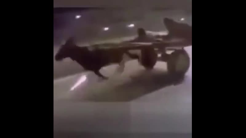 Шайтан трава