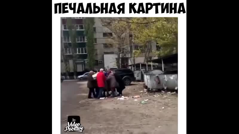 Как коршуны налетели 😬