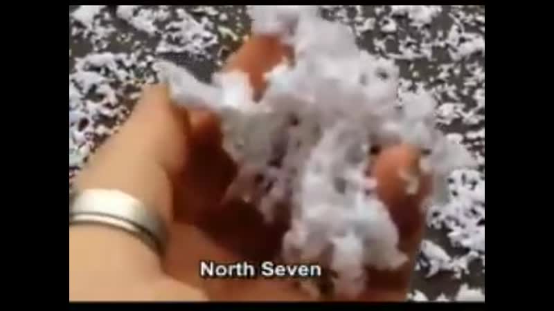 Люди собирают странное вещество которое падает с неба программа "лист клевера"