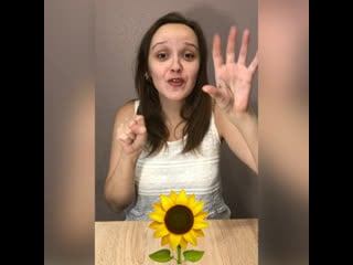 Пальчиковая гимнастика «подсолнух»