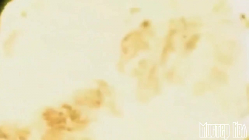 Vjlink | ddos squirt