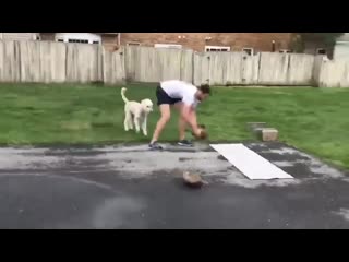 Goaltender copley runs us through his workout during this edition of hershey bears at home