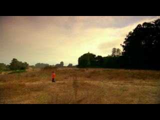 Tigers porn video – Хф дикие тигры, которых я знал / wild tigers i have known