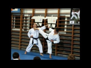 Gankaku kata bunkai masao kagawa sensei