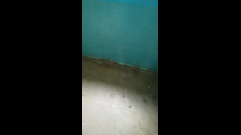 Скандальные кириши