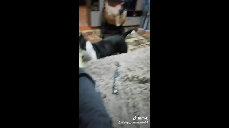 2015г porn video – Ghw pearl siberia ( фрэд ) 09 09 2015г г тайшет ( ghw futura happiness boldbuster orsson skiglous )