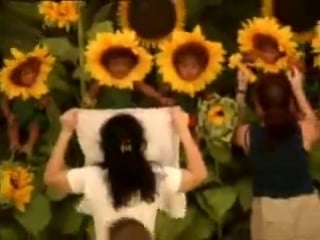 Anne geddes behind the scenes sunflowers