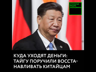 Тайгу поручили восстанавливать китайцам