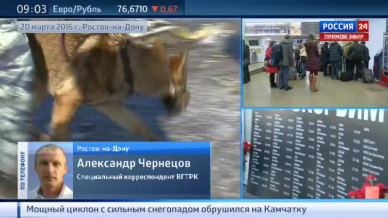Родственники погибших в крушении boeing сдали молодые для днк экспертизы