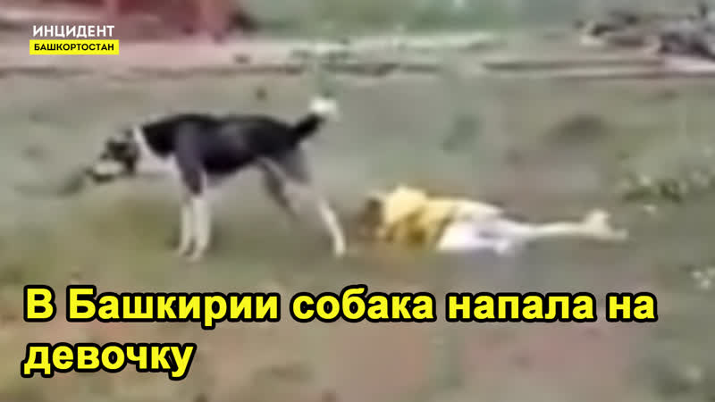 В башкирии на девочку напала собака