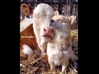 Edited 20210121 214625 mp4