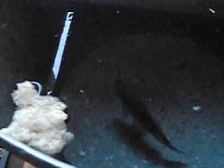 14 30 18 13 16 06 2016 sheet регистраций деч посна огыт нал окаш (1)