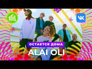 Алай оли остается дома | good vibes дикой мяте