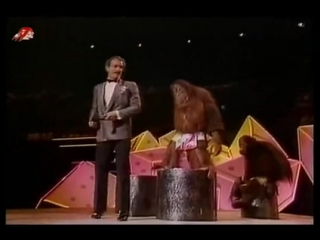 Orangytangi bobbi berozini (bobby berosini s orangutan show)