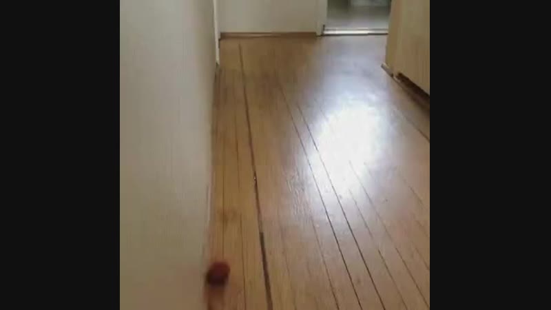 Уровень мячик пройден level up!