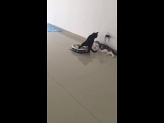 Ну ка не мешай (vhs video)