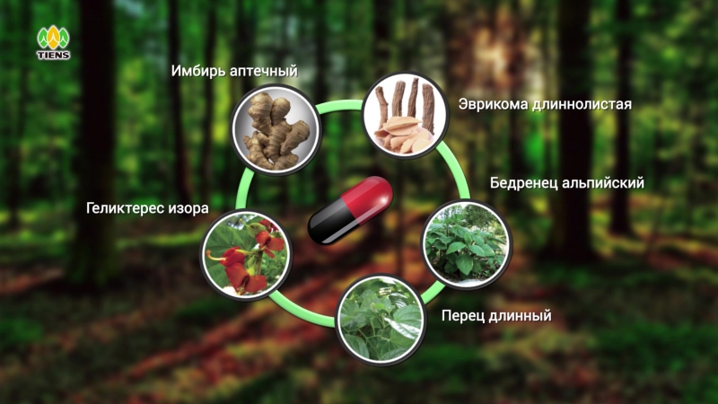 Капсулы «гэлакс» «тяньши»