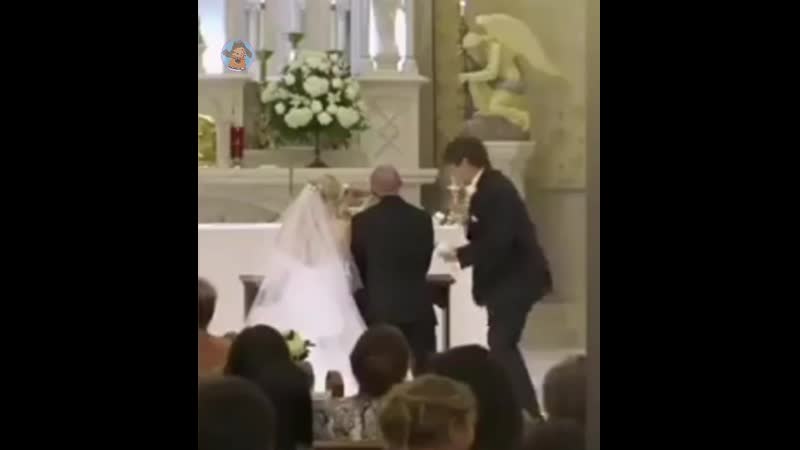 Вот, что настоящий верный друг