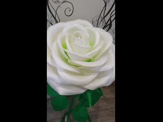 /storage/6433 3030/dcim/camera/