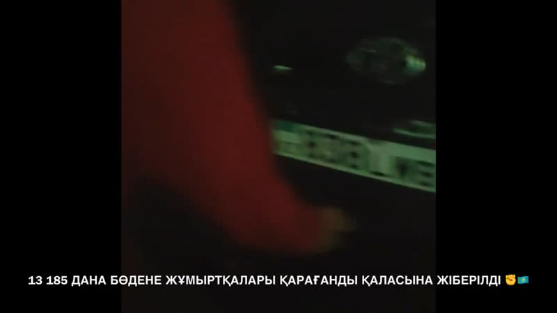 @kadyrovfarm 13 185 дана бөдене жұмыртқалары қарағанды қаласына жіберілді ✊🇰🇿