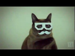 Dubstep hipster cat skifcha