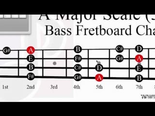 Udemy learn bass guitar have fun, amaze your friends its eas