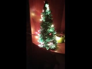 Video 20201111 021014 mp4