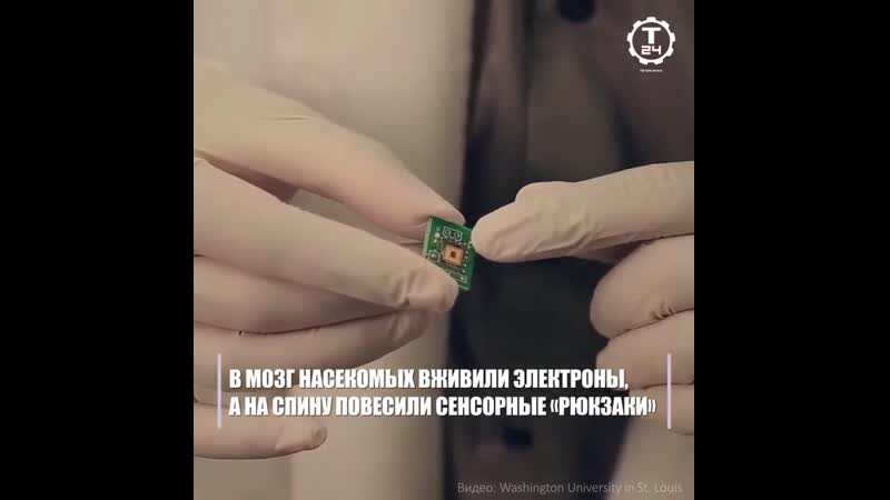 Кузнечики киборги