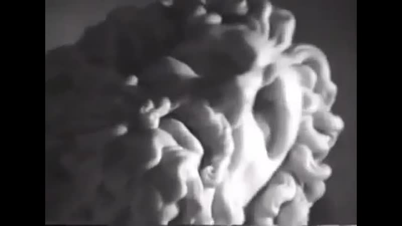 Иудаизм сионизм фашизм