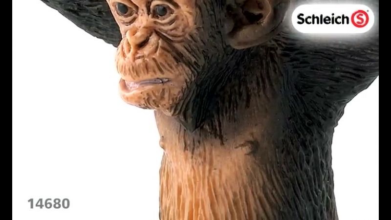 Шимпанзе, детеныш schleich 14680